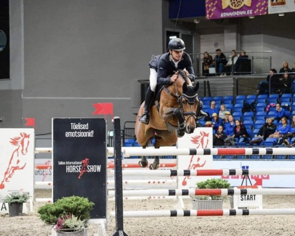 jumper Bella Balou Maxx (Oldenburg, 2015) jumper Bella Balou Maxx (Oldenburg, 2015)