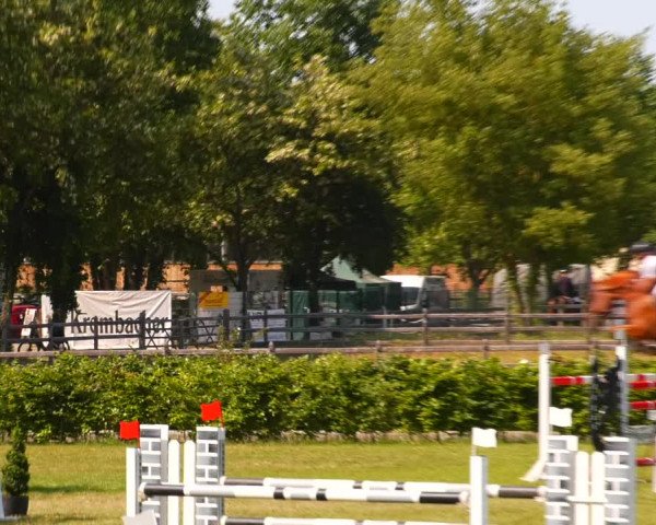 Reitturnier Ruhlsdorf 2023