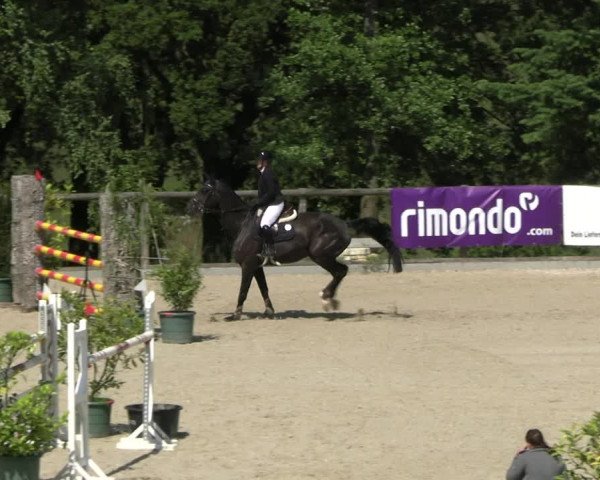 Reitturnier Erkrath - Uhlenhof 2023