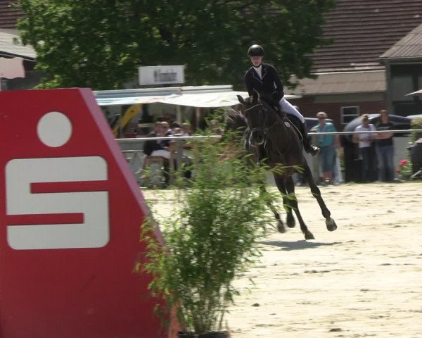 Reitturnier Nienberge Reitanlage Geßmann 2023
