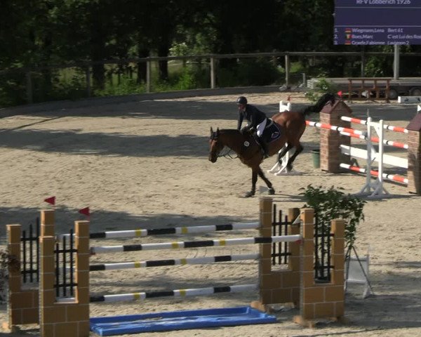 Reitturnier Erkrath - Uhlenhof 2023