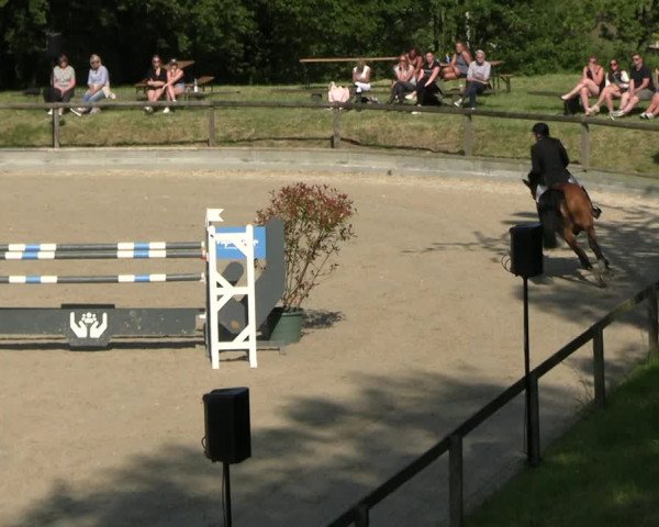 Reitturnier Erkrath - Uhlenhof 2023