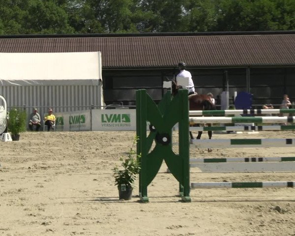 Reitturnier Nienberge Reitanlage Geßmann 2023