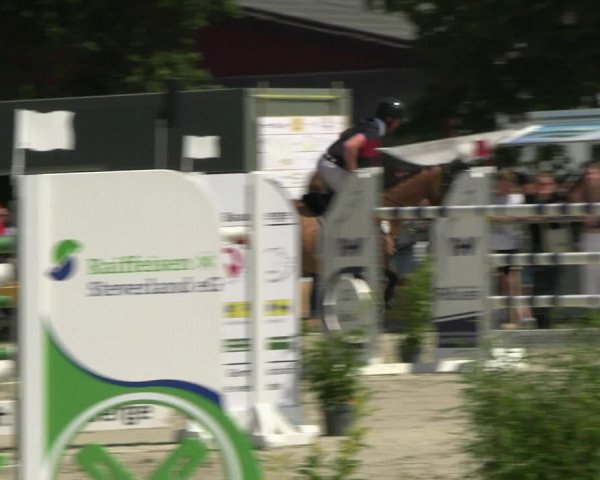 Reitturnier Nienberge Reitanlage Geßmann 2023