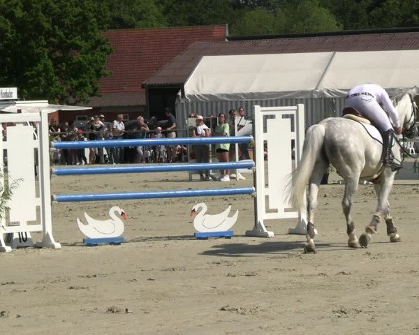 Reitturnier Nienberge Reitanlage Geßmann 2023