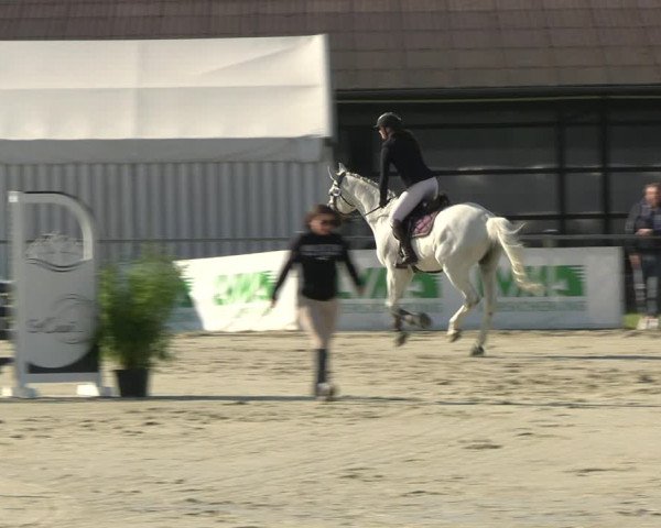 Reitturnier Nienberge Reitanlage Geßmann 2023