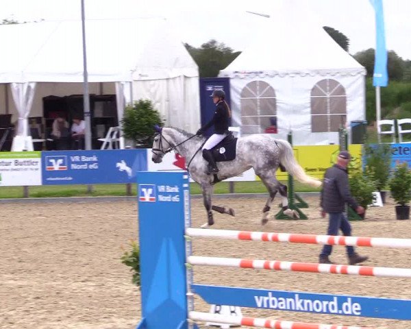 Reitturnier Niebüll 2023
