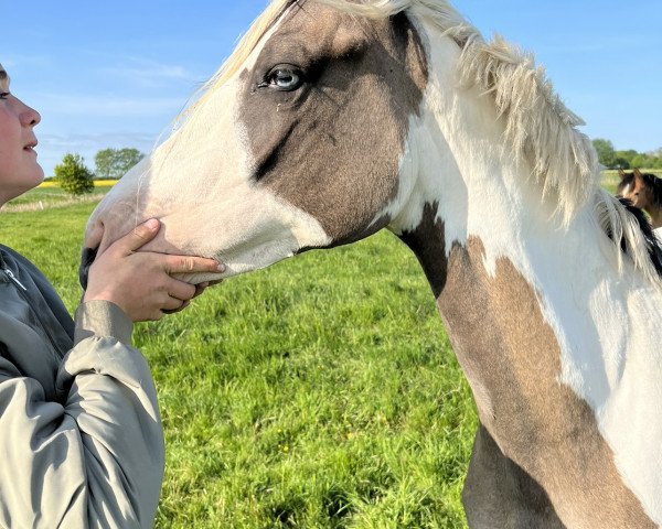 Pferd Leta Lestrange (Deutsches Reitpony, 2021, von Expecto Patronum 3)