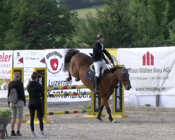 Reitturnier Ruswil 2023