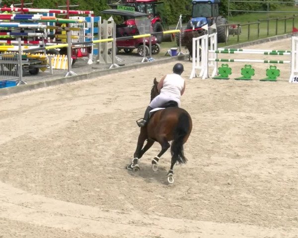 Reitturnier Werdenberg 2023