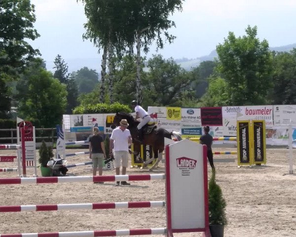 Reitturnier Ruswil 2023