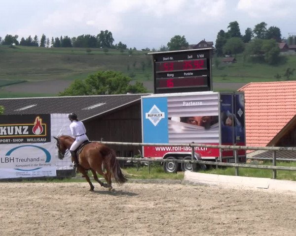 Reitturnier Ruswil 2023