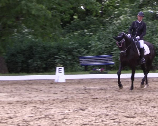 Reitturnier Königsborn 2023