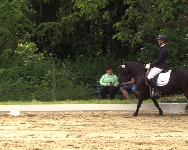 Reitturnier Königsborn 2023
