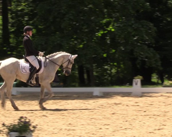 Reitturnier Königsborn 2023