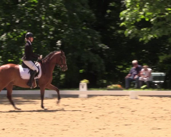 Reitturnier Königsborn 2023