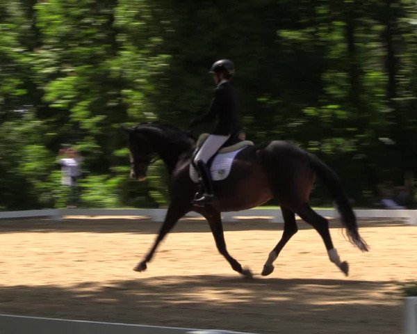 Reitturnier Königsborn 2023