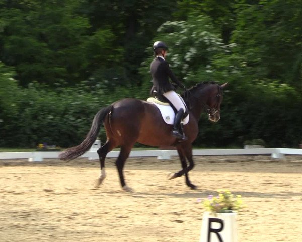 Reitturnier Königsborn 2023
