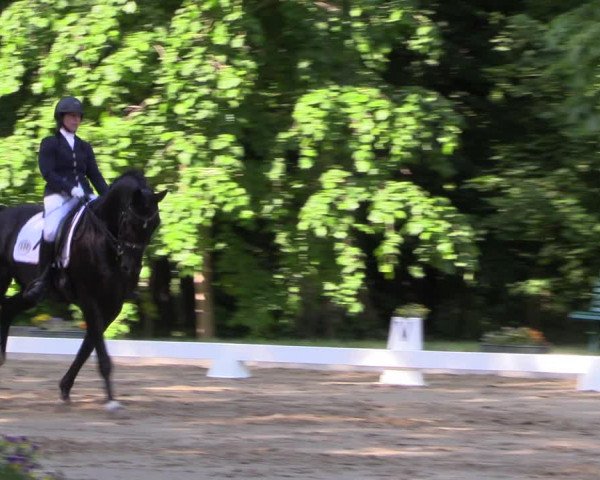 Reitturnier Königsborn 2023