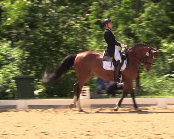 Reitturnier Königsborn 2023