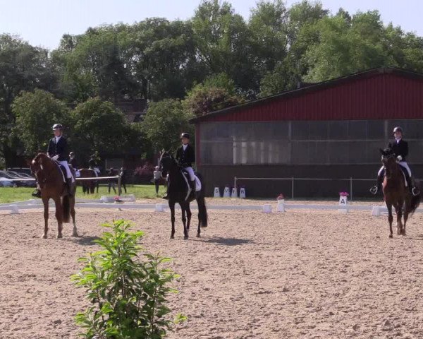 Reitturnier Nienberge Reitanlage Geßmann 2023