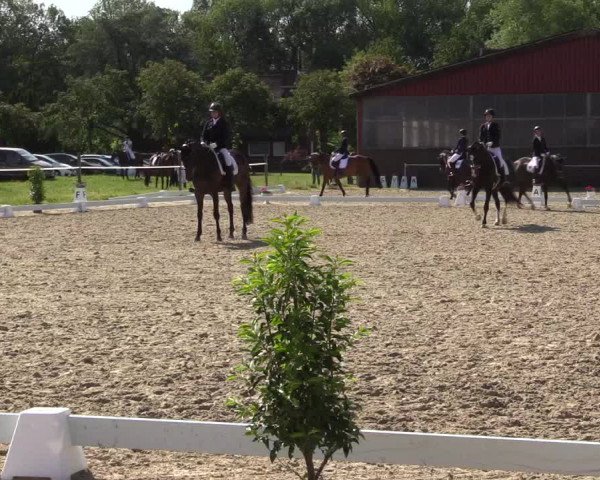 Reitturnier Nienberge Reitanlage Geßmann 2023