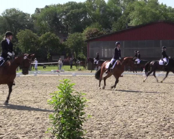 Reitturnier Nienberge Reitanlage Geßmann 2023