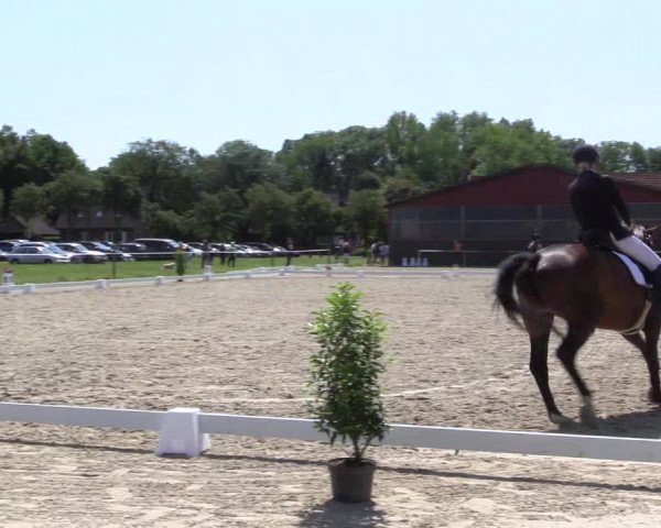 Reitturnier Nienberge Reitanlage Geßmann 2023