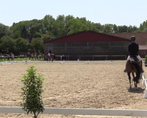 Reitturnier Nienberge Reitanlage Geßmann 2023