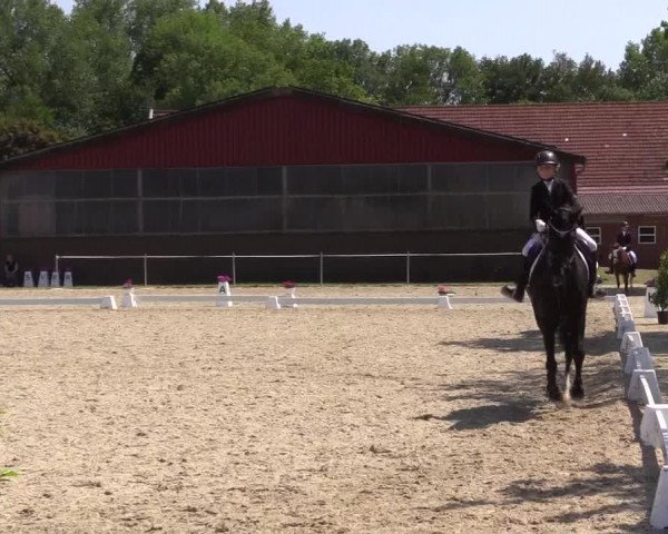 Reitturnier Nienberge Reitanlage Geßmann 2023