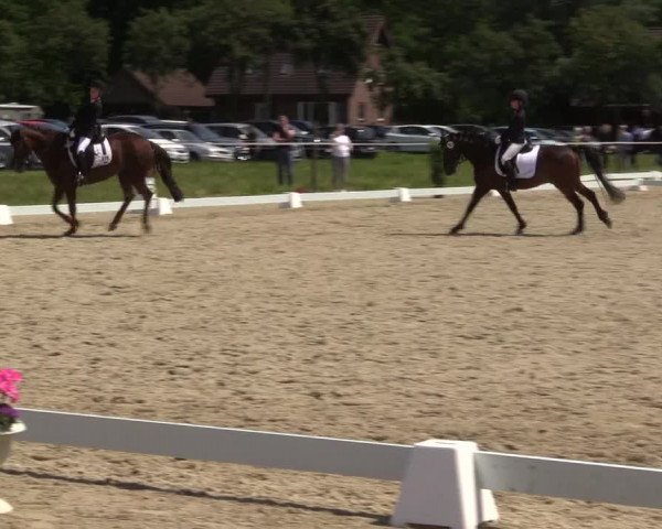 Reitturnier Nienberge Reitanlage Geßmann 2023