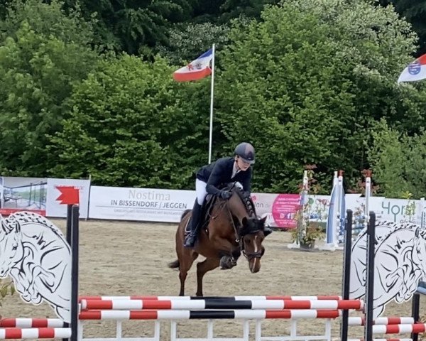 broodmare Nevtana (German Riding Pony, 2018, from Del Piero 25)