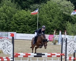 Zuchtstute Nevtana (Deutsches Reitpony, 2018, von Del Piero 25)
