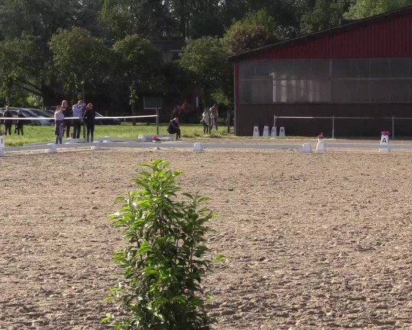 Reitturnier Nienberge Reitanlage Geßmann 2023