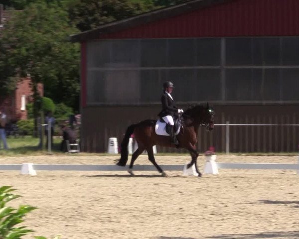 Reitturnier Nienberge Reitanlage Geßmann 2023