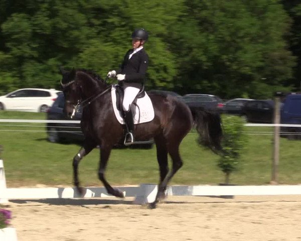 Reitturnier Nienberge Reitanlage Geßmann 2023