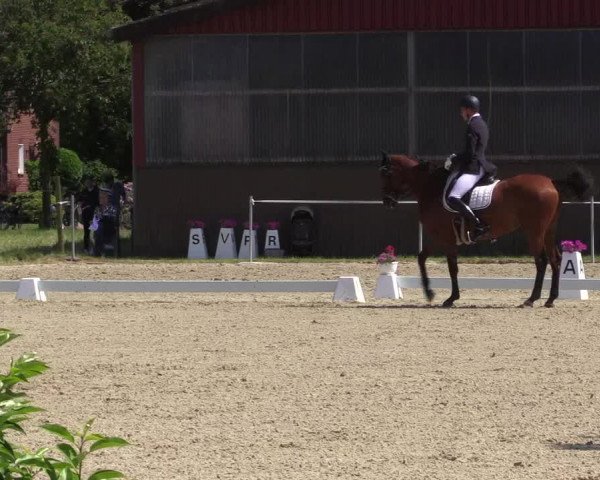 Reitturnier Nienberge Reitanlage Geßmann 2023