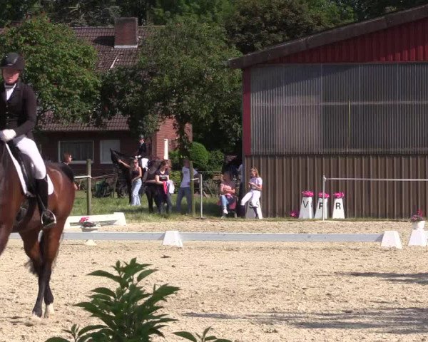 Reitturnier Nienberge Reitanlage Geßmann 2023