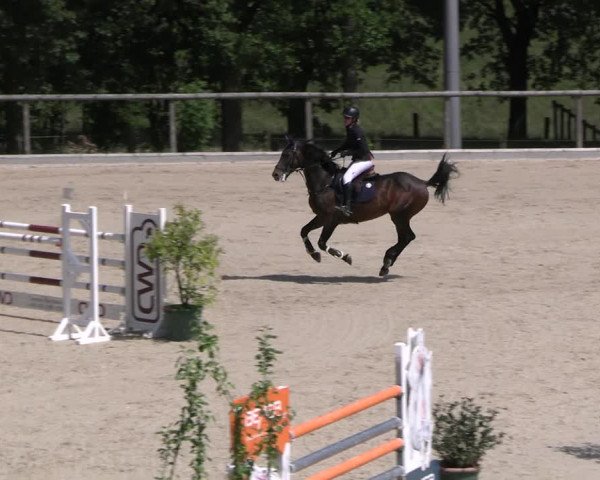 Reitturnier Erkrath - Uhlenhof 2023