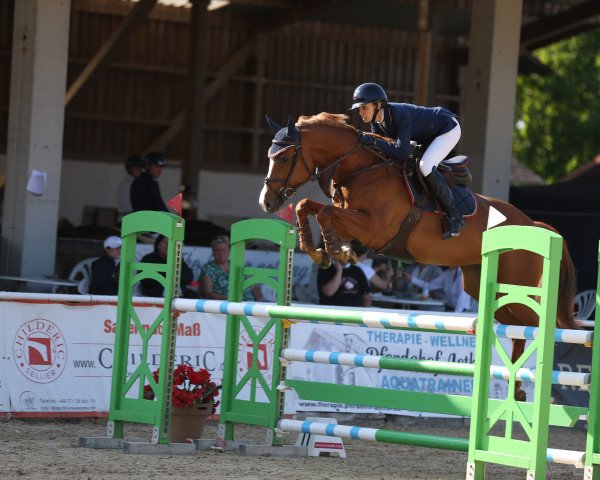 jumper Blond Foxi (Holsteiner, 2017, from Dinken)