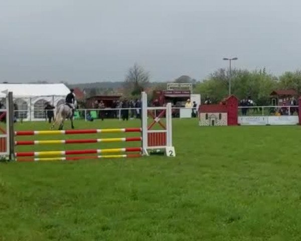 Video von Cara Mia 168
