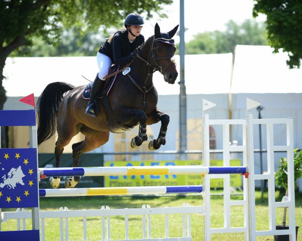 jumper I'm Freaky KW (German Sport Horse, 2015, from I'm Special de Muze)