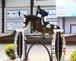 jumper Suarez (KWPN (Royal Dutch Sporthorse), 2009, from Berlin)