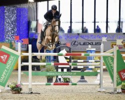 jumper Chorion (Belgian Warmblood, 2002, from Darco)