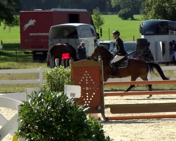 Reitturnier Isny-Rohrdorf 2021