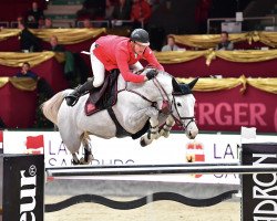 broodmare Queentina (Oldenburg show jumper, 2008, from Coupe de Coeur 2)