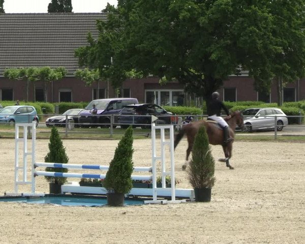 Reitturnier Langenfeld - Gut Langfort 2023