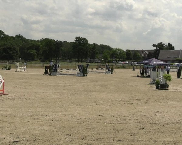 Reitturnier Langenfeld - Gut Langfort 2023