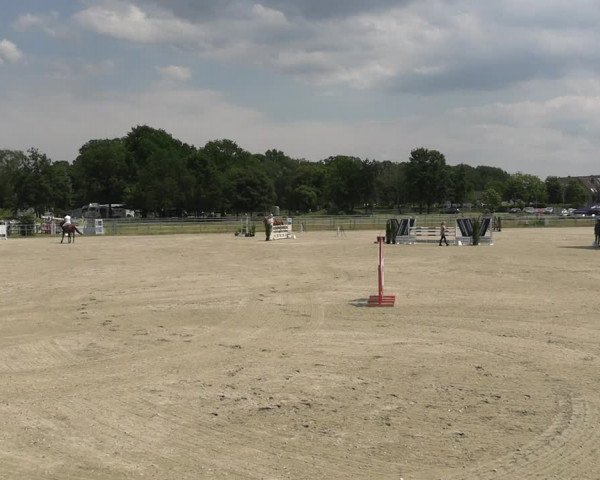 Reitturnier Langenfeld - Gut Langfort 2023