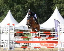jumper Loki Luke (Holsteiner, 2015, from Limbus)